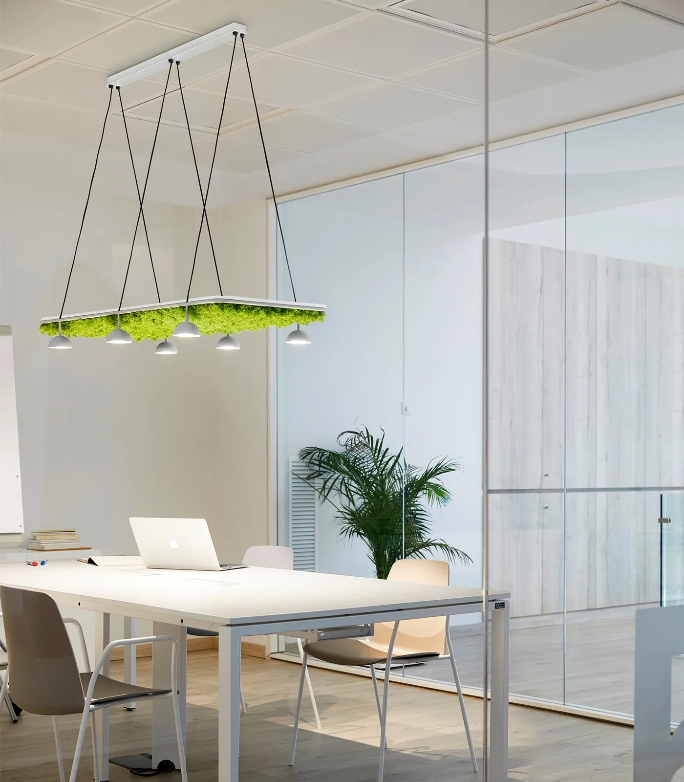 Cupolina Linear Pendant Light